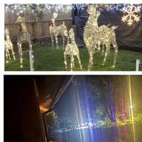Experience a festive journey filled with sparkling lights and joyful music at Wolston pub