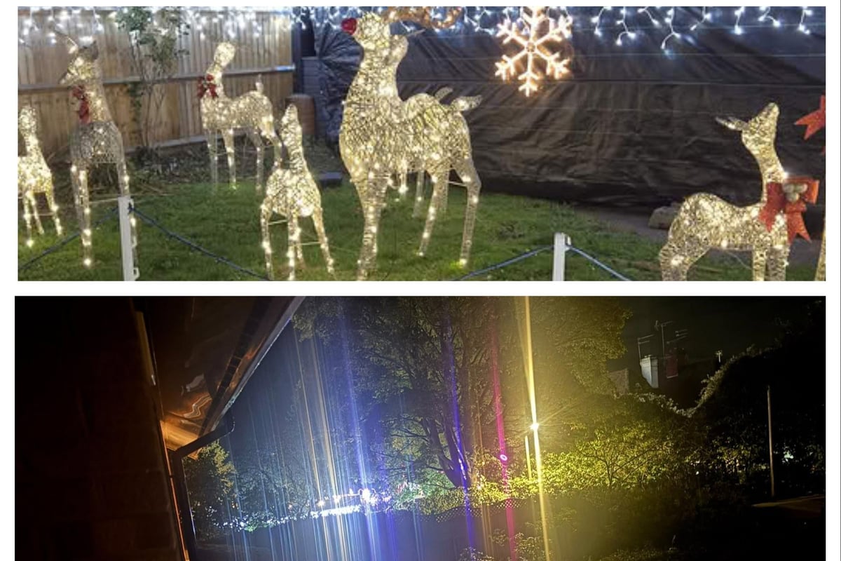 Experience a festive journey filled with sparkling lights and joyful music at Wolston pub