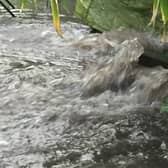 More than 200 sewage dumps took place in Leamington and Warwick last year - a 67 per cent rise in cases.