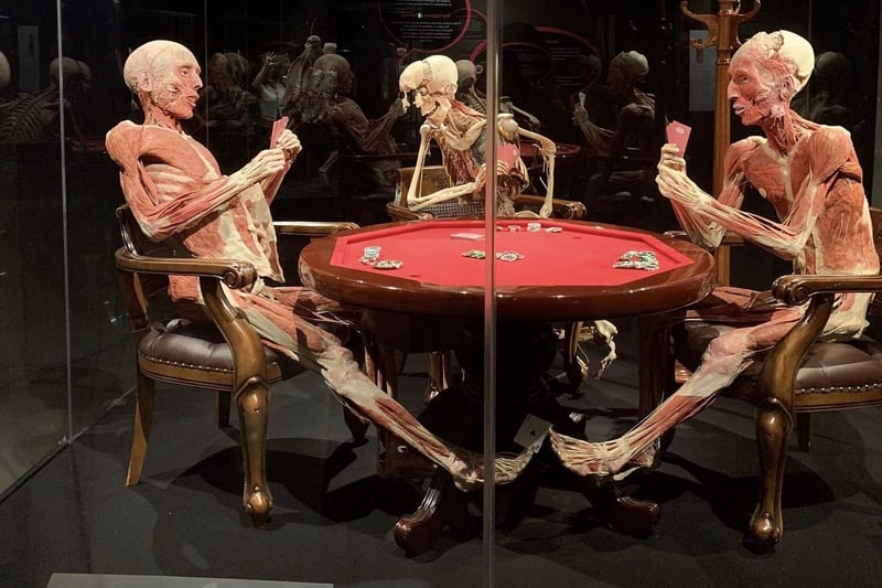 Amsterdam is home to various world-famous museums, and no trip to the city is complete without stopping by the Rijksmuseum, Van Gogh Museum or Stedelijk Museum. Not for everyone, but here's a picture from our visit to Body Worlds.