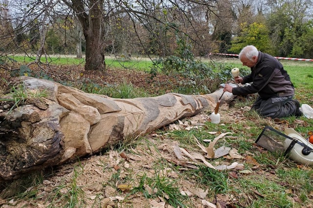Woodcarver Graham Jones has been making sculptures as part of a larger project to create a nature trail around the park. Photo by Geoff Ousbey