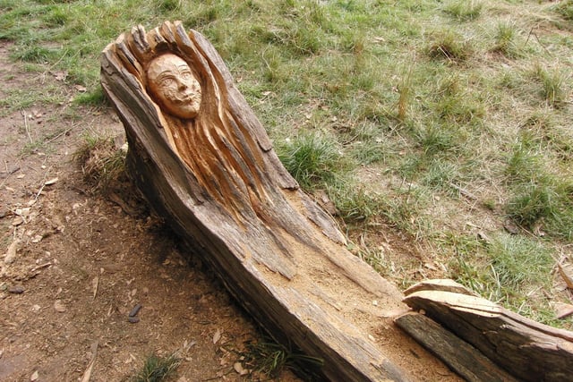 The face carved out of dead wood. Photo by Geoff Ousbey