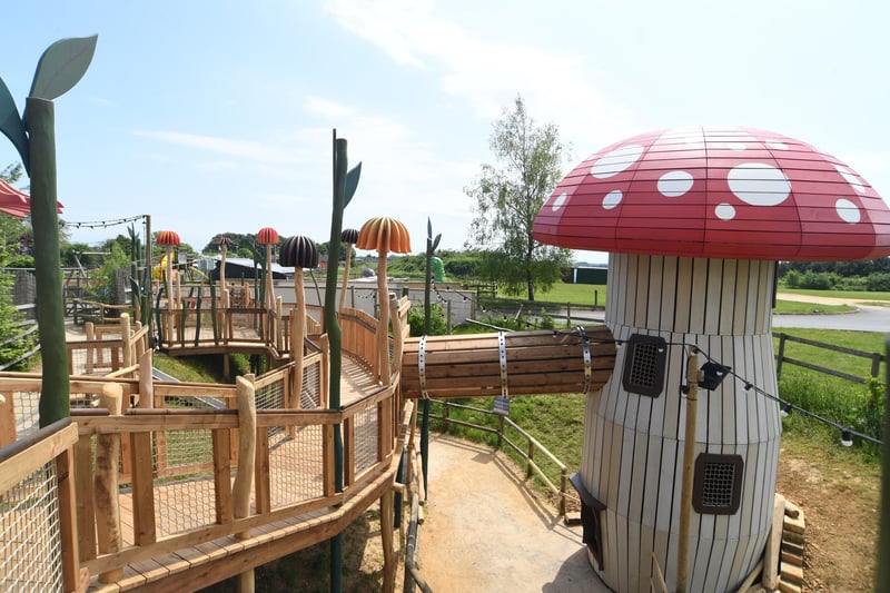 The new Fairy Dell attraction at Fairytale Farm will open its doors to the public this Saturday.