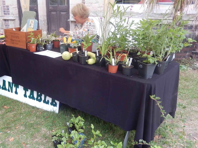 The plant stall. Photo supplied