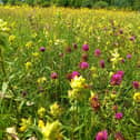 Ryton Meadow in 2023. Picture supplied.
