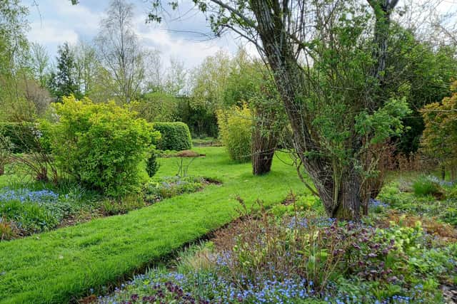 Christine Dakin's Garden in Napton.