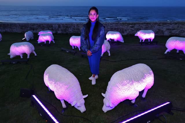 Illuminated sheep art work at Bamburgh with artist Deepa Mann-Kler
(photo: Raoul Dixon)