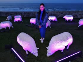 Illuminated sheep art work at Bamburgh with artist Deepa Mann-Kler
 (photo: Raoul Dixon)