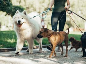 Dog walkers could be fined for having their dogs off the lead in areas it's not permitted in Fenland