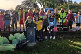 Team Tiger celebrate their successful litter pick around Harbury. Picture supplied.