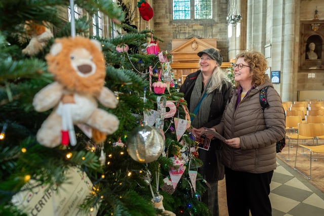 St. Marys Church, Warwick is celebrating the largest number of decorated trees ever this year, with it's annual Christmas Tree Festival, now open to the public.

Pictured: Jo Coles-West & Caroline Condillac

Photo by Mike Baker