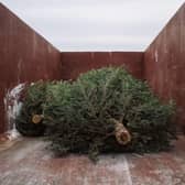 Residents are asked to consider donating to have their Christmas tree recycled in aid of Shipston Home Nursing
