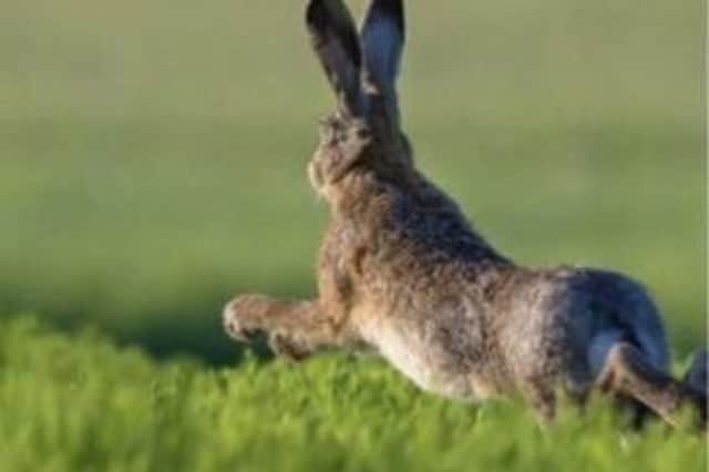 Three men caught hare-coursing in the Rugby borough are the first people to convicted under new laws to tackle the crime.