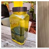 Residents have had to ctahc the flies themselves.