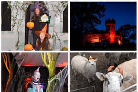 Halloween events are taking place across the Warwick district. Photos supplied