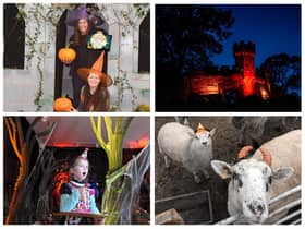 Halloween events are taking place across the Warwick district. Photos supplied