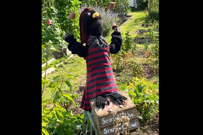One of the many scarecrows. Photo by Kenilworth Allotment Tenant’s Association