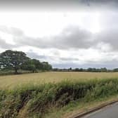 Open spaces and mature trees, looking towards Dunkleys Farm from Alwyn Road, near Dunchurch. These views are already at risk from the exisitng Local Plan, now Lib Dems and Labour fear a Conservative initiative for a full review will push development into the green belt. Photo: Google Street View