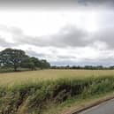 Open spaces and mature trees, looking towards Dunkleys Farm from Alwyn Road, near Dunchurch. These views are already at risk from the exisitng Local Plan, now Lib Dems and Labour fear a Conservative initiative for a full review will push development into the green belt. Photo: Google Street View