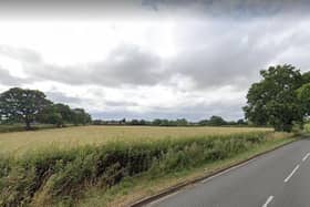 Open spaces and mature trees, looking towards Dunkleys Farm from Alwyn Road, near Dunchurch. These views are already at risk from the exisitng Local Plan, now Lib Dems and Labour fear a Conservative initiative for a full review will push development into the green belt. Photo: Google Street View