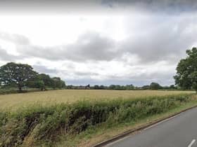 Open spaces and mature trees, looking towards Dunkleys Farm from Alwyn Road, near Dunchurch. These views are already at risk from the exisitng Local Plan, now Lib Dems and Labour fear a Conservative initiative for a full review will push development into the green belt. Photo: Google Street View