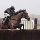 Cherie d'Am jumps the last fence clear of Telepathique to win Warwick's feature race (photo by David Pratt)