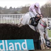 Volcano jumps the last in the Carol's,Eddie's and Dan's Special Birthdays Handicap Chase. Pic by David Pratt