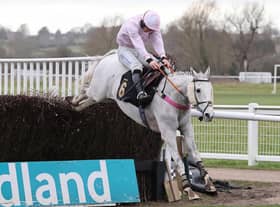 Volcano jumps the last in the Carol's,Eddie's and Dan's Special Birthdays Handicap Chase. Pic by David Pratt