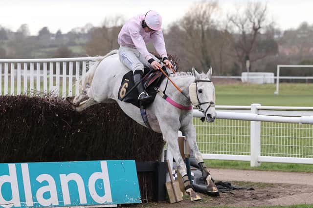 Volcano jumps the last in the Carol's,Eddie's and Dan's Special Birthdays Handicap Chase. Pic by David Pratt