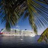 Majestic Arvia in Martinique. Picture: Christopher Ison