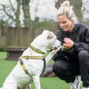 England and Aston Villa striker Rachel Daly with American Bulldog Cross Dotty at Dogs Trust Kenilworth. Picture supplied.