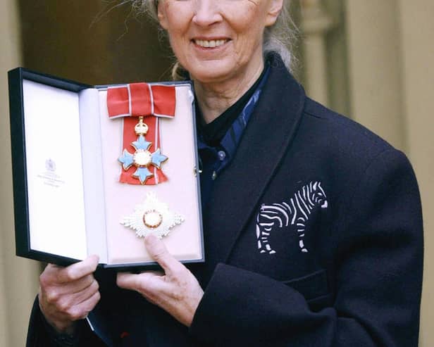 Environmental activist Jane Goodall (photo: Getty Images)