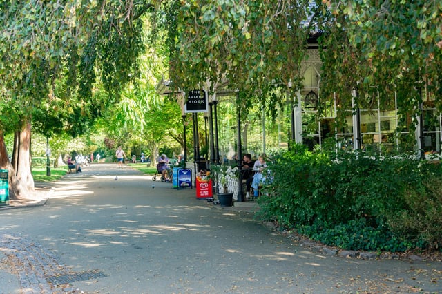 The summer sun in Jephson Gardens. Photo by Mike Baker