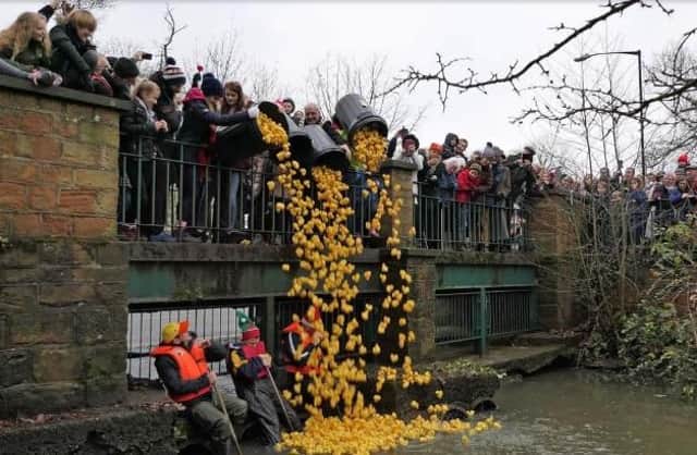 Kenilworth's Duck Race has become a popular Christmas tradition