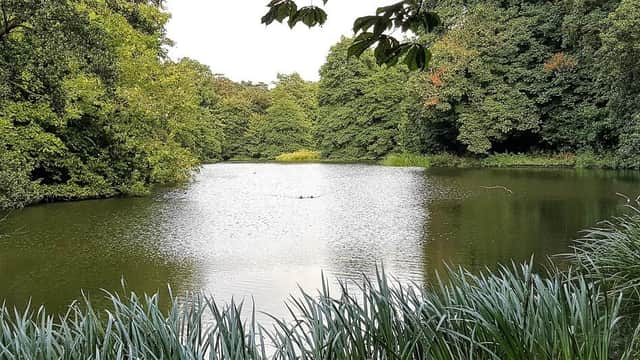 The pool. Photo courtesy of Farnborough Village Website
