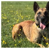 PD Serkan. Credit: OPU Warwickshire.