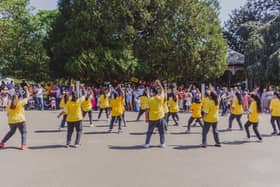 Art in the Park 2022 Photo by Lewis Copson.