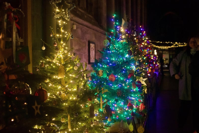 The launch of the Leamington Christmas Tree Festival 2023. Photo by John Bray.