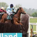 Rockstar Ronnie clears the last in the Poundland, Where Great Prices Rule Handicap Chase at Warwick races on Monday  Picture by David Pratt