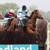 Rockstar Ronnie clears the last in the Poundland, Where Great Prices Rule Handicap Chase at Warwick races on Monday  Picture by David Pratt