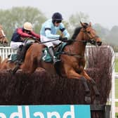 Rockstar Ronnie clears the last in the Poundland, Where Great Prices Rule Handicap Chase at Warwick races on Monday  Picture by David Pratt