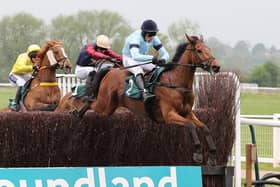 Rockstar Ronnie clears the last in the Poundland, Where Great Prices Rule Handicap Chase at Warwick races on Monday  Picture by David Pratt