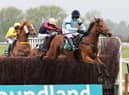 Rockstar Ronnie clears the last in the Poundland, Where Great Prices Rule Handicap Chase at Warwick races on Monday  Picture by David Pratt