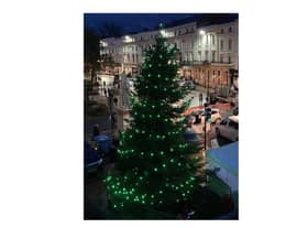 The Tree of Light outside Leamington Town Hall.