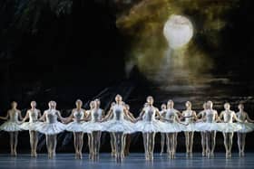 Experience Tchaikovsky's Swan Lake from the front row this February