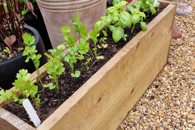 Veg can be grown in a window box trough