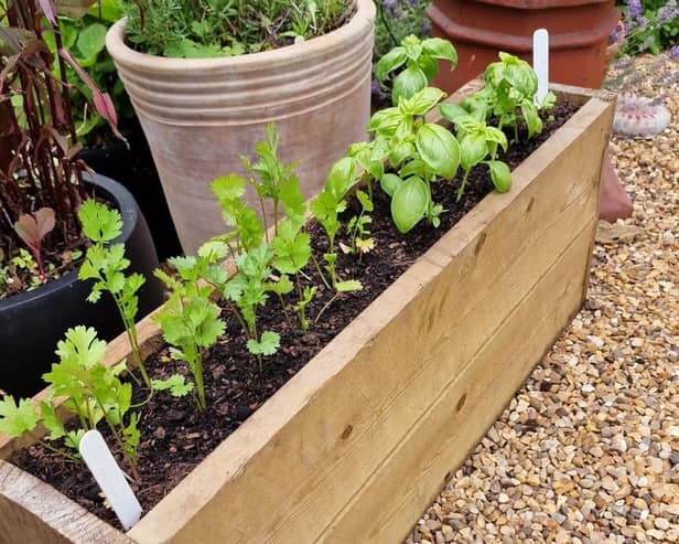 Veg can be grown in a window box trough