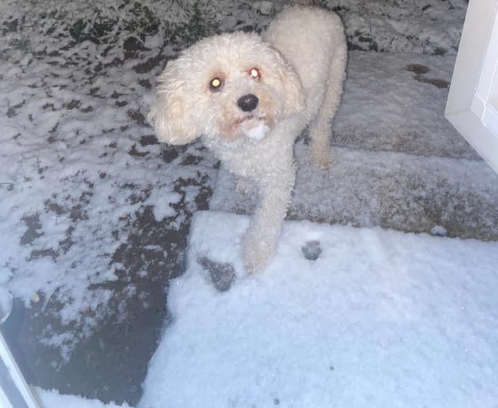 Ralph Hardy enjoys the wintry conditions.