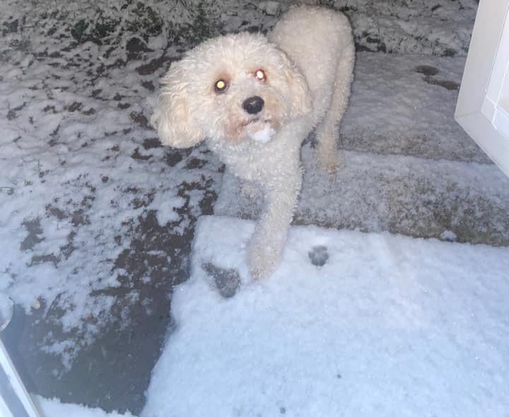 Ralph Hardy enjoys the wintry conditions.