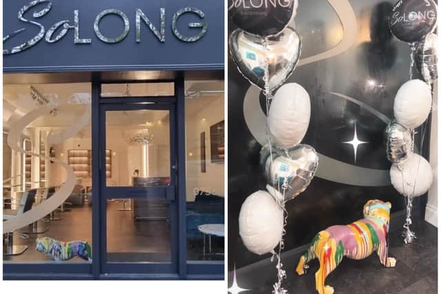 The owner of a salon in Warwick was left to celebrate her one-year anniversary in the town with a boarded up window after thieves broke in and stole her cherished bulldog ornament. Photos supplied